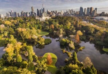 Biodiversidad urbana