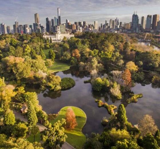 Biodiversidad urbana