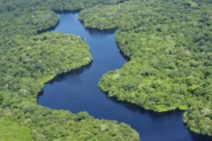 Brasil
