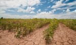 CAMBIO CLIMATICO