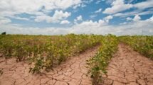 CAMBIO CLIMATICO