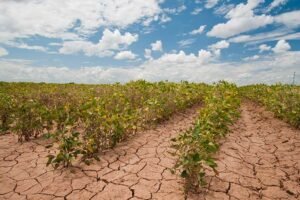 CAMBIO CLIMATICO