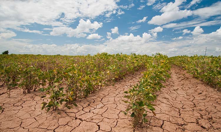 CAMBIO CLIMATICO