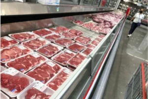 CARNE