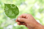 CULTURA VERDE