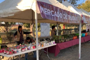 Cierre de ciclo