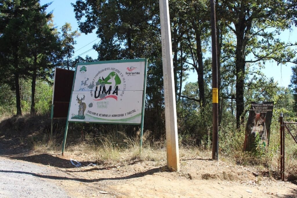 Coatepec Harinas se organiza: nace el frente que protegerá su pulmón verde 10 Coatepec Harinas se organiza