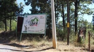 Coatepec Harinas se organiza