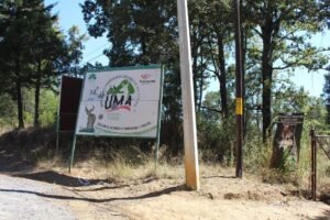 Coatepec Harinas se organiza