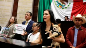 Congreso CDMX reconoce vacíos legales en refugios y alista regulación animal