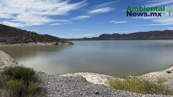 Copia de AMBIENTALNEWSMX WEB