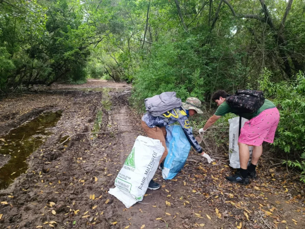 Cuidemos los Manglares