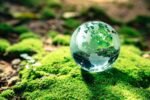 DÍA MUNDIAN DEL MEDIO AMBIENTE