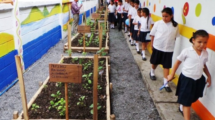 EDUCACIÓN AMBIENTAL