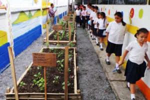 EDUCACIÓN AMBIENTAL
