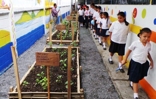 Educación ambiental, en escuelas urbanas, una herramienta para formar ciudadanos más conscientes 11 EDUCACIÓN AMBIENTAL