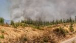 Ecologistas en Accion reclama reforzar la prevencion de los incendios forestales 1536x864 1