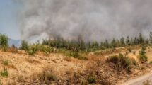 Ecologistas en Accion reclama reforzar la prevencion de los incendios forestales 1536x864 1