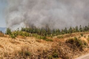 Ecologistas en Accion reclama reforzar la prevencion de los incendios forestales 1536x864 1