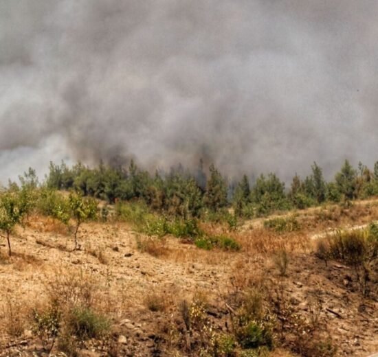 Ecologistas en Accion reclama reforzar la prevencion de los incendios forestales 1536x864 1