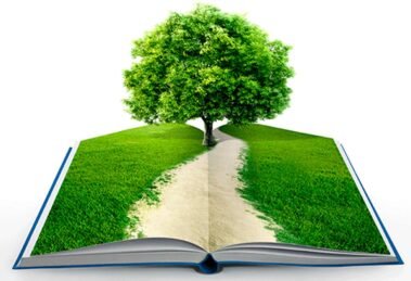 Educación ambiental