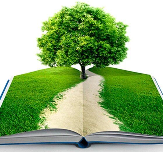 Educación ambiental