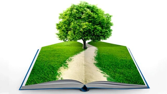 Educación Ambiental: La Base De Un Futuro Sostenible | Ambiental News