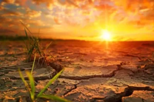 cambio climático