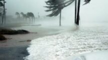 CAMBIO CLIMÁTICO