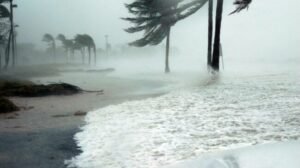 CAMBIO CLIMÁTICO