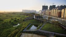 Fauna urbana resiliente,