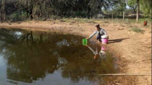 Guardianas del caudal