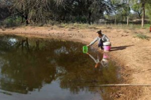 Guardianas del caudal