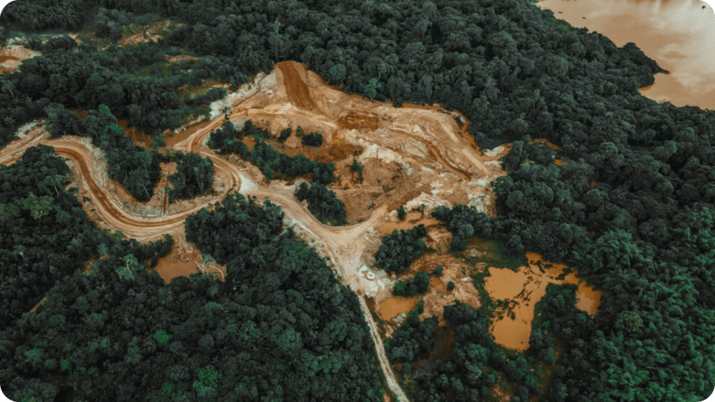 IA generativa aplicada al monitoreo de deforestación en tiempo real 10 IA generativa aplicada al monitoreo de deforestación en tiempo real