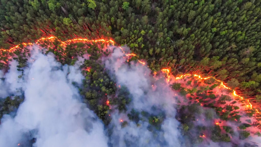 Incendios forestales en Bielorrusia se duplican y ponen en riesgo sus bosques 10 Incendios forestales en Bielorrusia