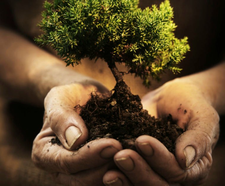 defensa sobre la tierra