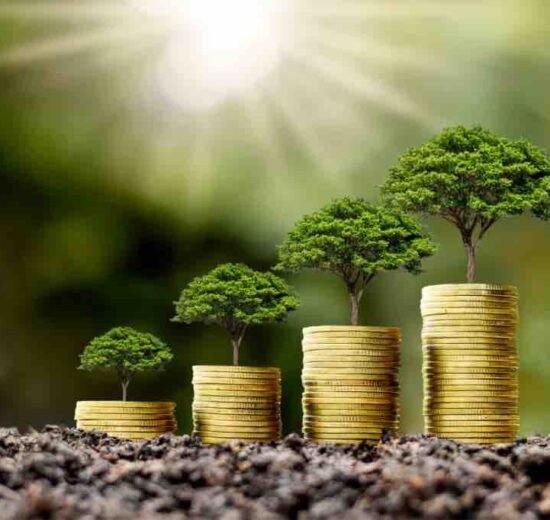 Inversiones en proyectos