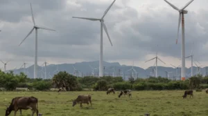 Llega para 2028 el parque eólico que aprovechará los vientos de Oaxaca
