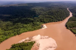 Un río con historia maya, biodiversidad y riesgos crecientes: la reflexión que trae Mal de río