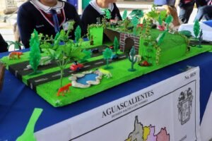 Medio ambiente JM