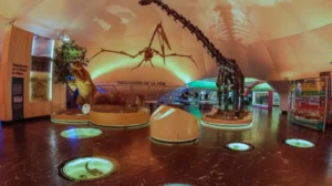 Museo de Historia Natural