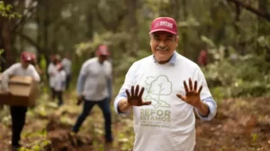 jornada de reforestación