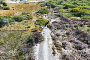 Ocupación ilegal amenaza un ecosistema clave en la costa norte de Yucatán
