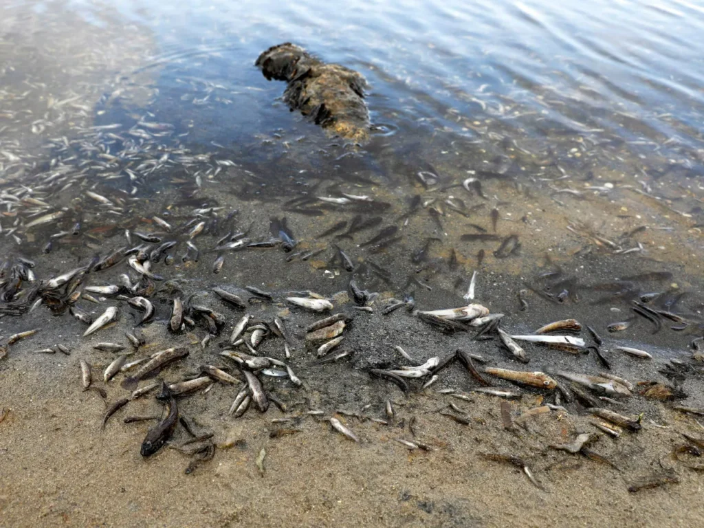 Corte suprema definirá el daño ecológico en Santiago del Estero 11 PGN 2