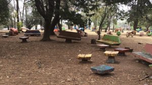 parque 2
