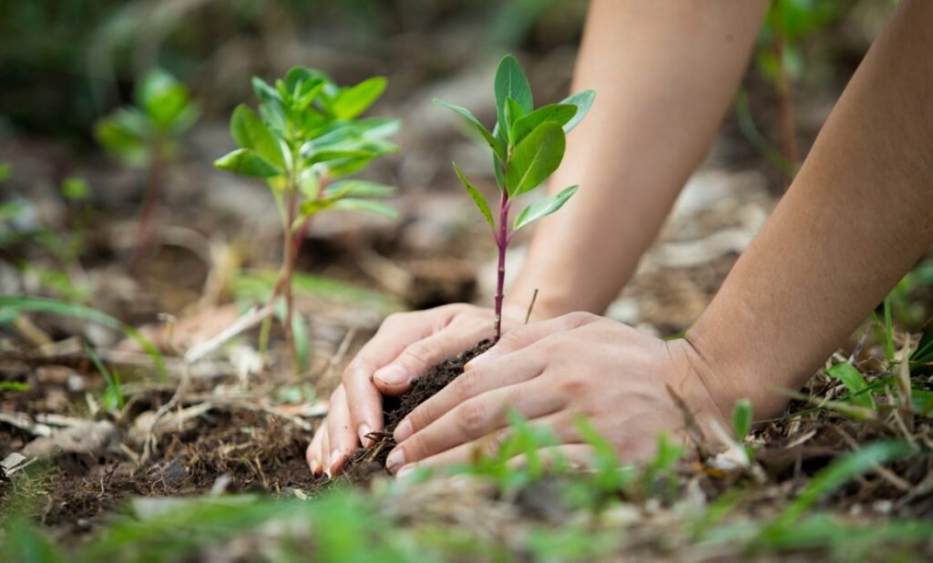 Planeta en reconstrucción