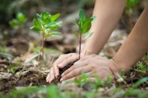 Planeta en reconstrucción