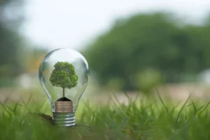 Planeta verde