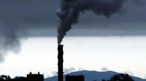 Plantas industriales