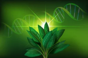 Plantas inteligentes